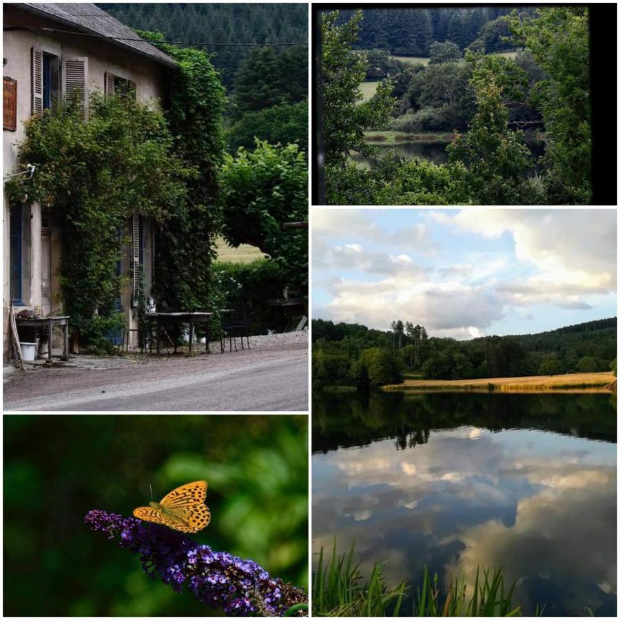 Chambres D'Hotes A L'Etang D'Yonne Arleuf ภายนอก รูปภาพ